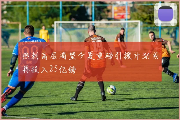 热刺高层渴望今夏重磅引援计划或再投入25亿镑