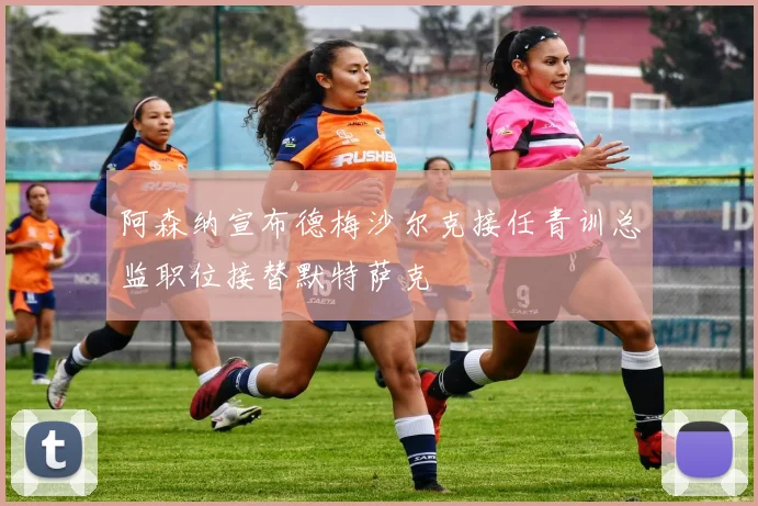 阿森纳宣布德梅沙尔克接任青训总监职位接替默特萨克
